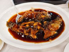 -楼外楼(西湖景区孤山路店)