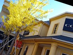 -COACH蔻驰(赛特奥特莱斯店)