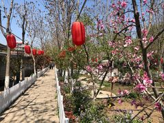 -草根堂农场