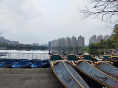 -成都南湖公园