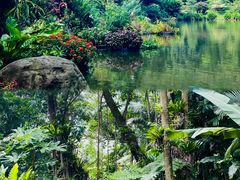 -深圳仙湖植物园