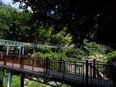 -广东天露山旅游度假区