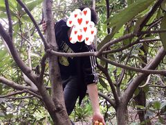 -塘栖枇杷特色园区