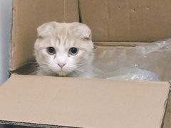 -惠康宠物医院(华能路店)