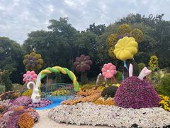 -上海共青森林公园