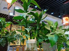-粥公粥婆精品家常菜(青龙桥店)