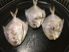 -东北烤肉(钟鼎名悦店)