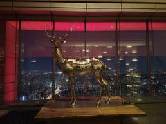 -北京柏悦酒店·锦庭餐厅Dining Room