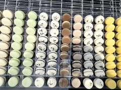 -罗红摄影艺术馆