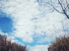 -良渚古城遗址公园