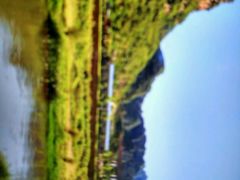 -野三坡百草畔景区