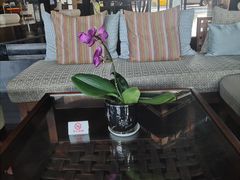 -三亚湾海居铂尔曼度假酒店