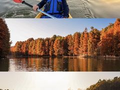 -上海海湾国家森林公园