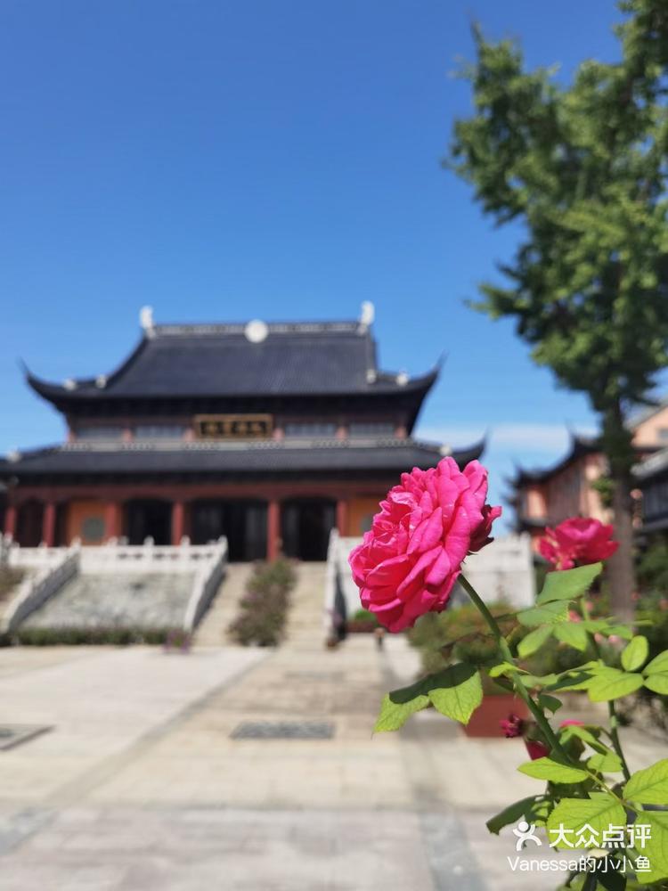 永安崇福寺住持图片