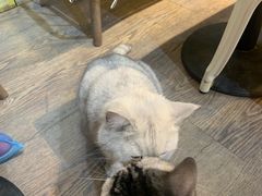 -小时光咖啡馆(开森度假森林店)
