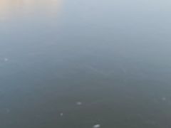 -迎泽公园