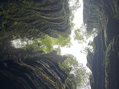 -梭布垭石林景区