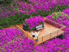 -东湖磨山景区
