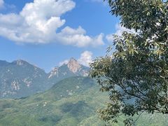 -九华山风景区