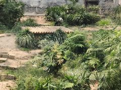 -石排湾郊野公园