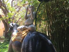 -芽庄珍珠岛游乐园
