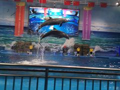 -多彩贵州城极地海洋世界