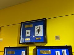 -上海昆虫博物馆