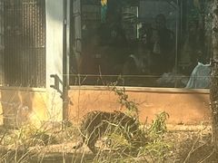 -昆明动物园