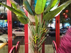 -美庐时尚餐厅(菱角湖店)