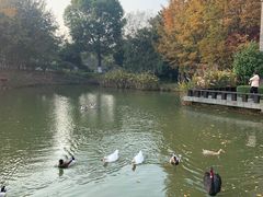 -天目湖涵田半山温泉