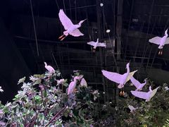 -中国湿地博物馆