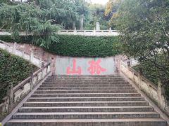 -中山公园
