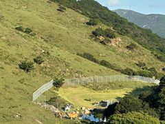 -大姆山草场