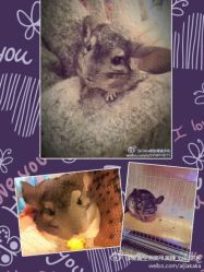 1-爱嘉生活美甲美睫纹绣半永久