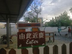 -鹿境梅花鹿生态园区