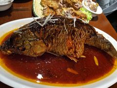 罾蹦鲤鱼-津菜宋记老房子(鼓楼店)