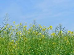 -广富林郊野公园