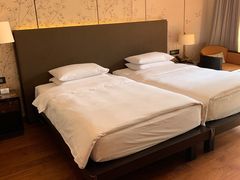 -上海崇明金茂凯悦酒店