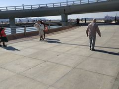 -演武大桥观景平台