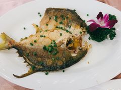 -东方御宴海鲜酒楼(棕泉酒店)