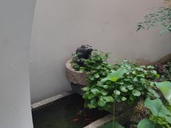 -YONEX网羽有约(新街口店)