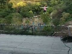 -南丹山森林王国