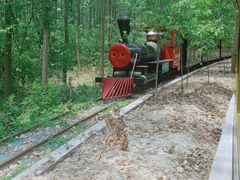 -合肥滨湖国家森林公园