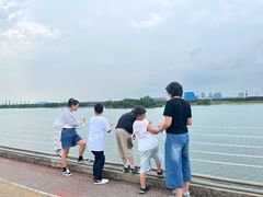 -贡湖湾湿地公园