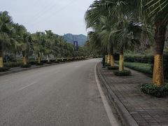 -重庆南山海昌汤都