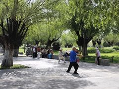 -汉长安城未央宫国家考古遗址公园