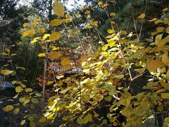 -香山公园-东宫门售票处