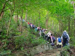 -素山寺森林公园