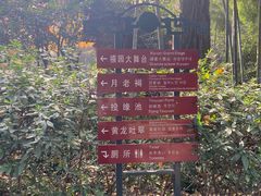 -杭州黄龙洞