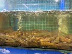 -坛南湾阿强农家乐.海鲜大排档老字号(福州地标美食店)
